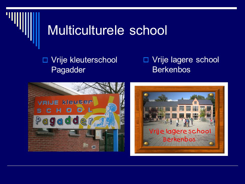 Multiculturele school