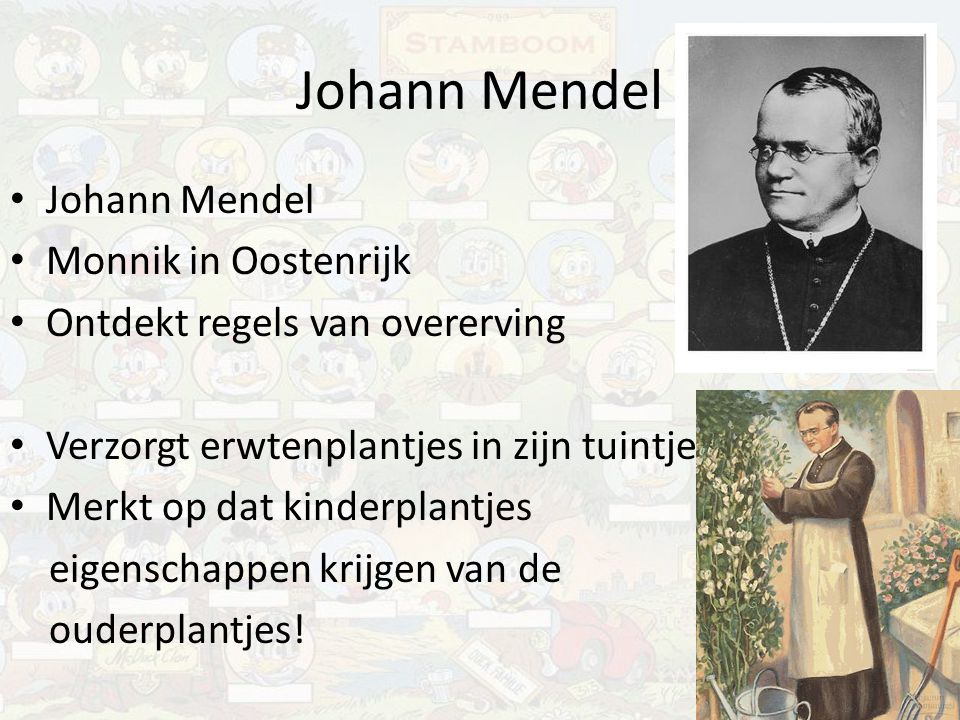 Johann Mendel Johann Mendel Monnik in Oostenrijk