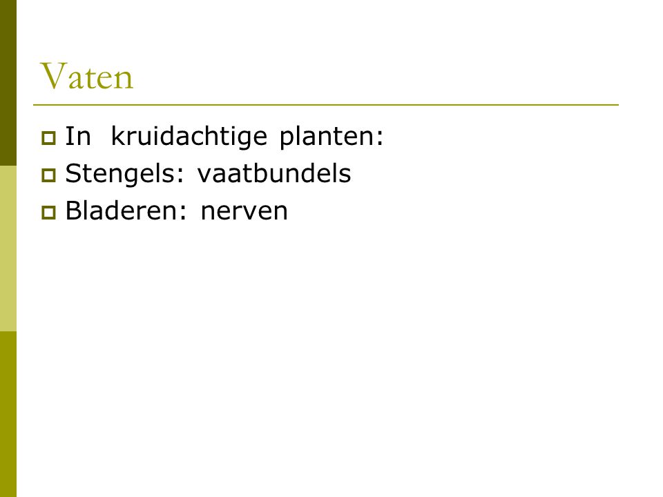 Vaten In kruidachtige planten: Stengels: vaatbundels Bladeren: nerven