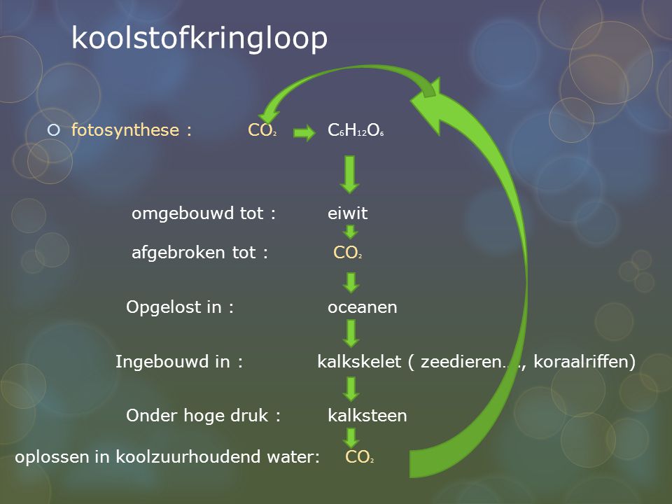 koolstofkringloop fotosynthese : CO2 C6H12O6 omgebouwd tot : eiwit