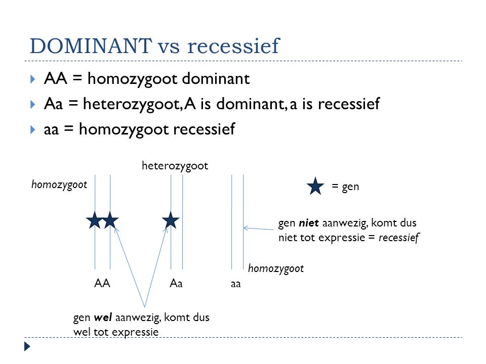 DOMINANT vs recessief AA = homozygoot dominant