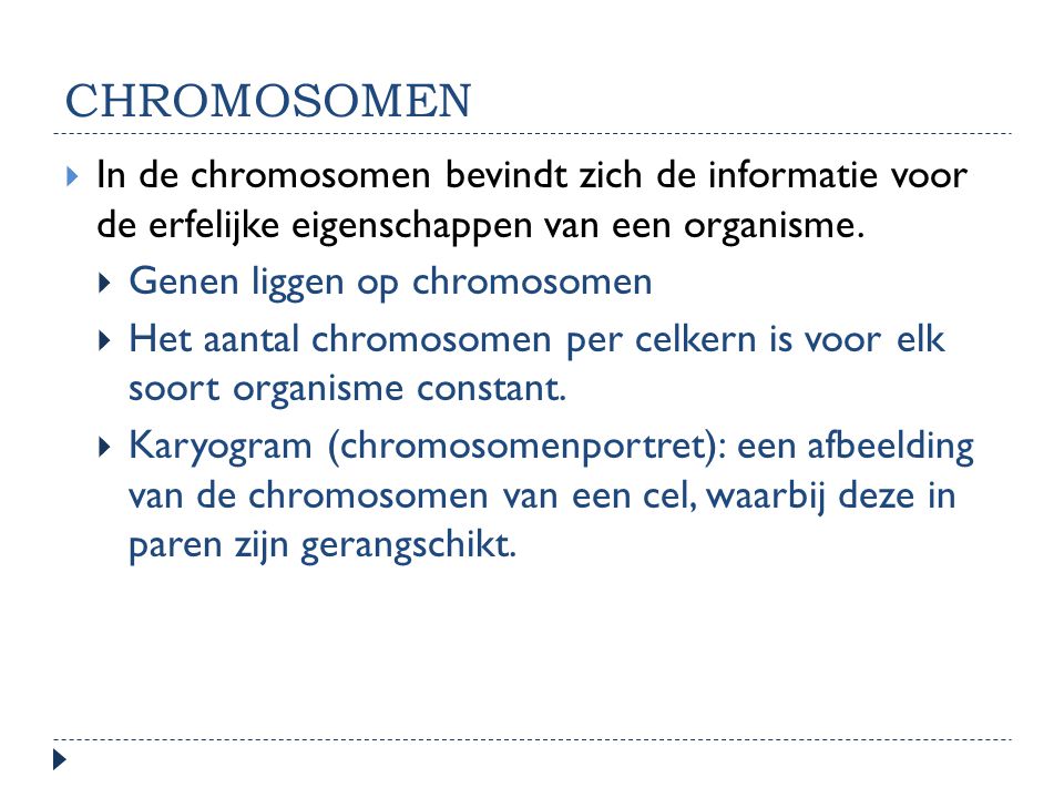 CHROMOSOMEN In de chromosomen bevindt zich de informatie voor de erfelijke eigenschappen van een organisme.