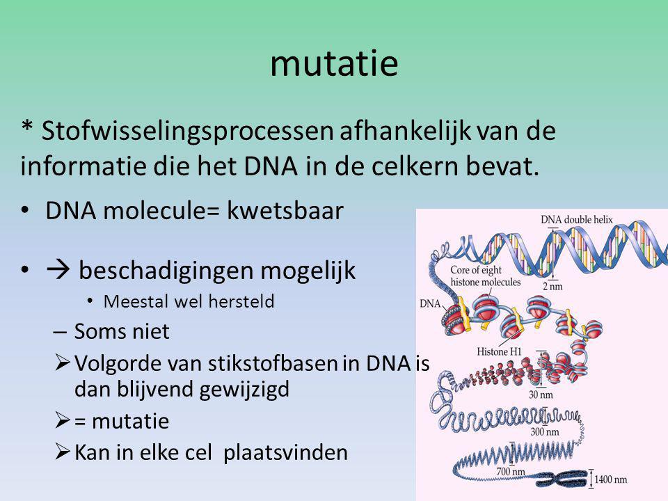 mutatie * Stofwisselingsprocessen afhankelijk van de informatie die het DNA in de celkern bevat. DNA molecule= kwetsbaar.