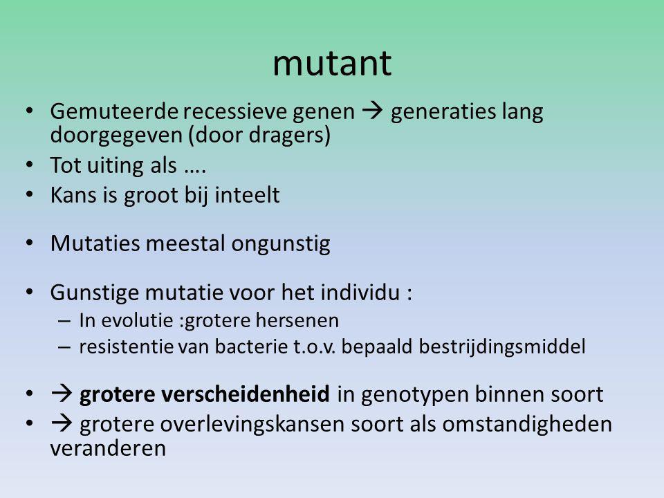 mutant Gemuteerde recessieve genen  generaties lang doorgegeven (door dragers) Tot uiting als …. Kans is groot bij inteelt.