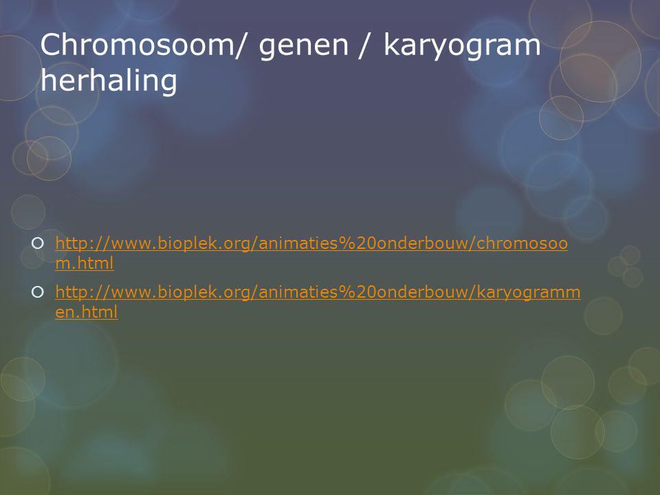 Chromosoom/ genen / karyogram herhaling