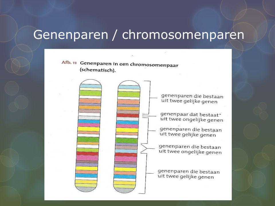 Genenparen / chromosomenparen
