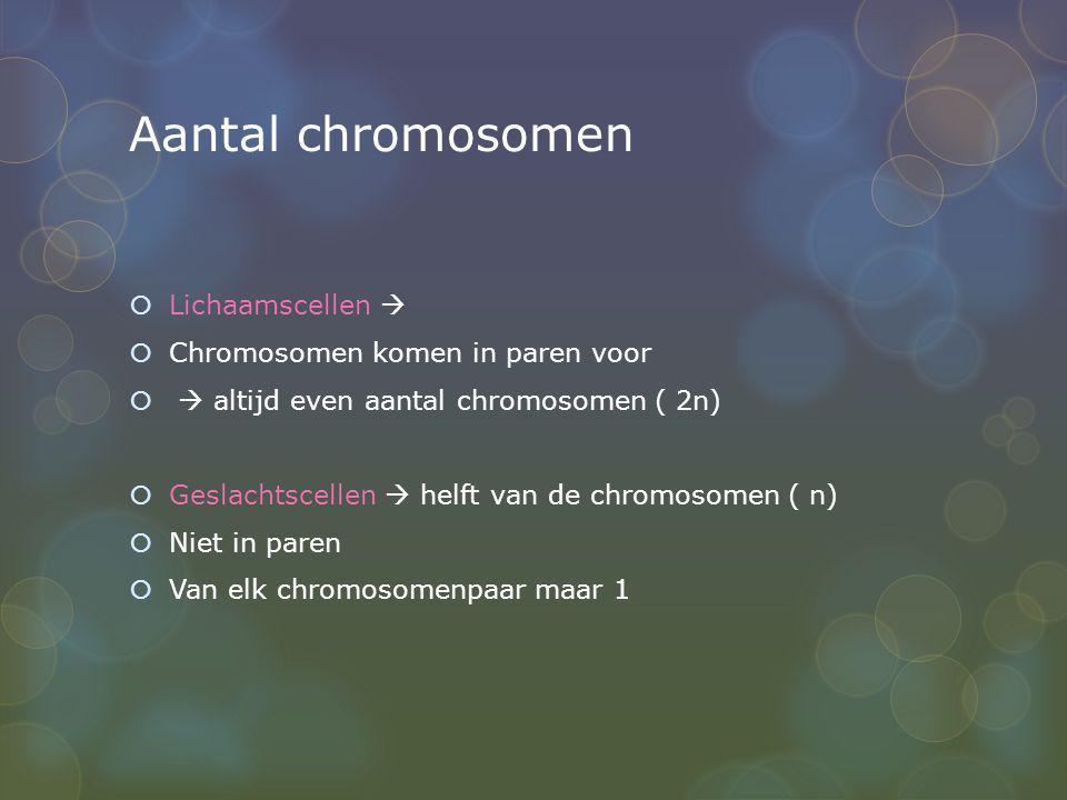Aantal chromosomen Lichaamscellen  Chromosomen komen in paren voor