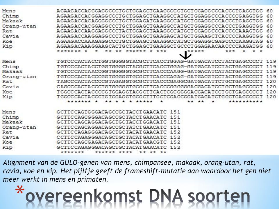 overeenkomst DNA soorten
