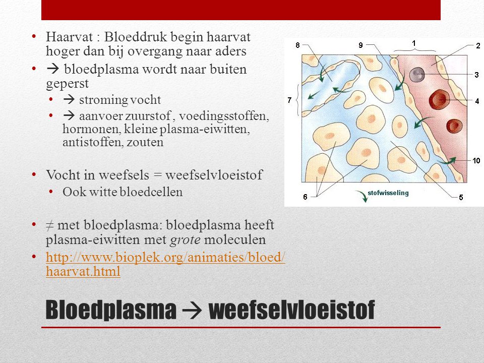 Bloedplasma  weefselvloeistof