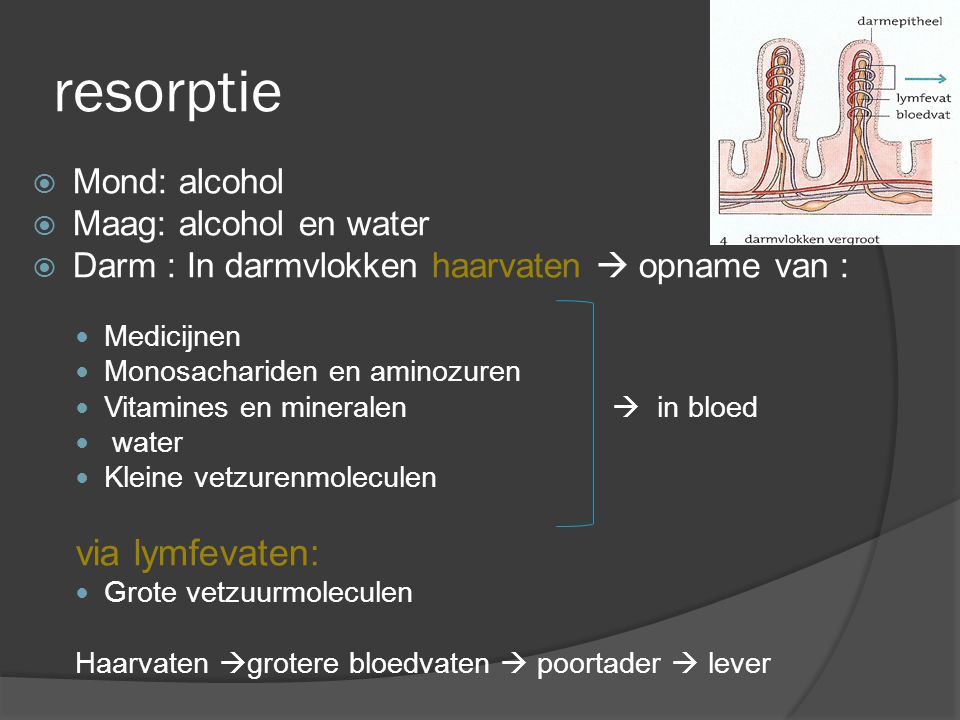 resorptie via lymfevaten: Mond: alcohol Maag: alcohol en water