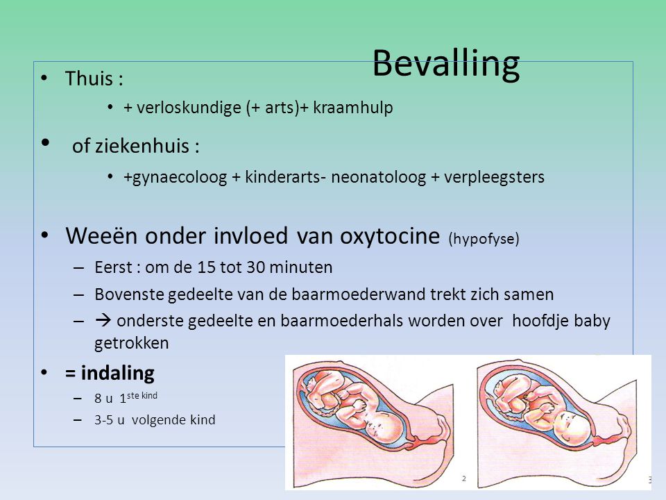 Bevalling of ziekenhuis : Weeën onder invloed van oxytocine (hypofyse)