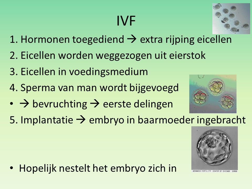 IVF 1. Hormonen toegediend  extra rijping eicellen