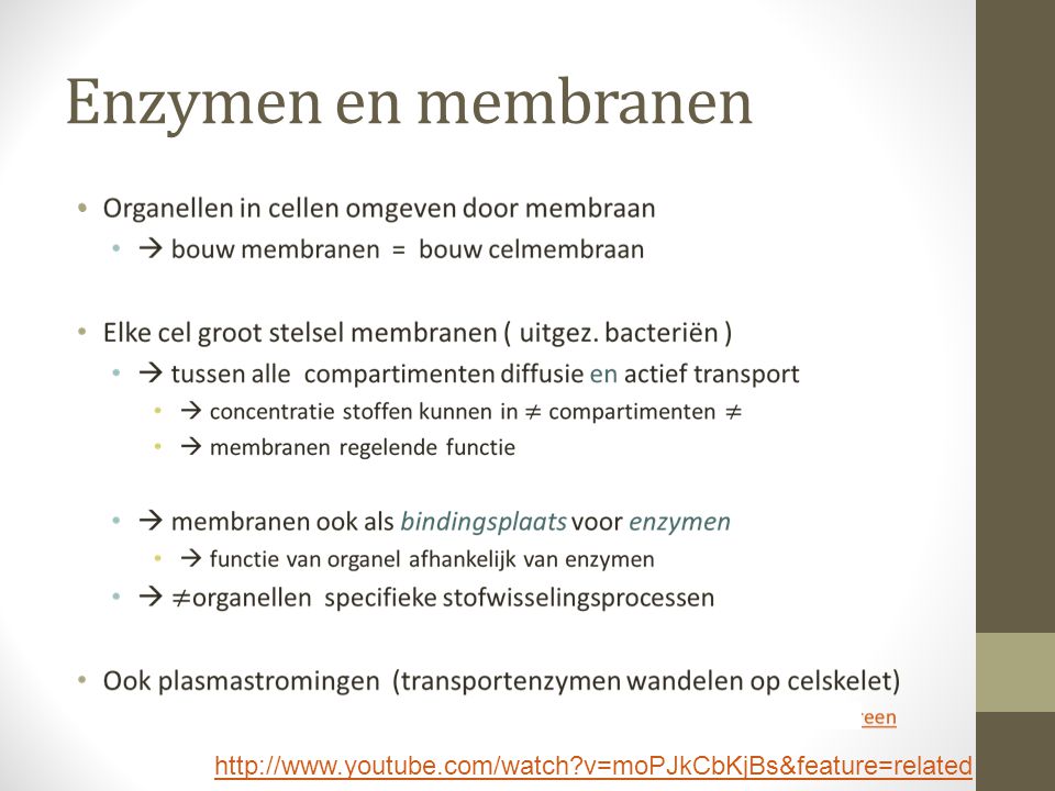 Enzymen en membranen   v=moPJkCbKjBs&feature=related
