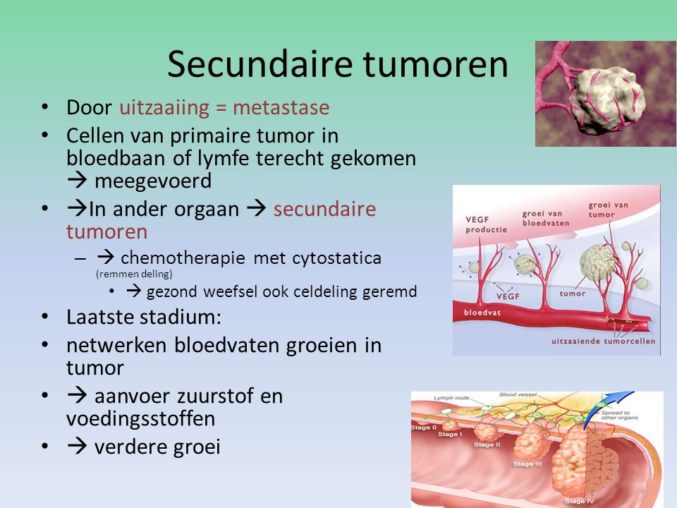 Secundaire tumoren Door uitzaaiing = metastase