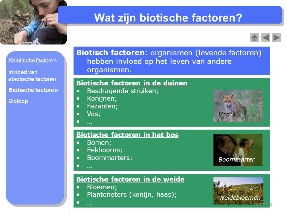 Wat zijn biotische factoren