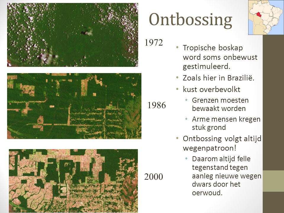 Ontbossing Tropische boskap word soms onbewust gestimuleerd. Zoals hier in Brazilië. kust overbevolkt.