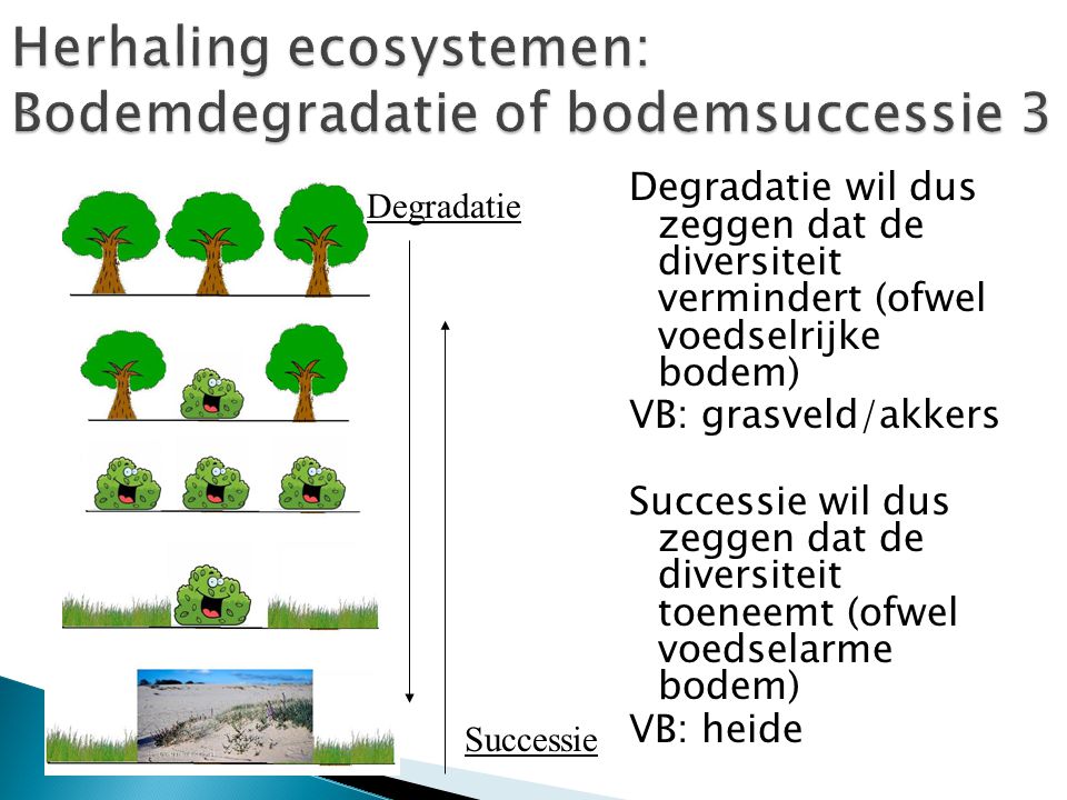 Herhaling ecosystemen: Bodemdegradatie of bodemsuccessie 3