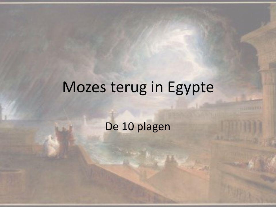 Mozes terug in Egypte De 10 plagen