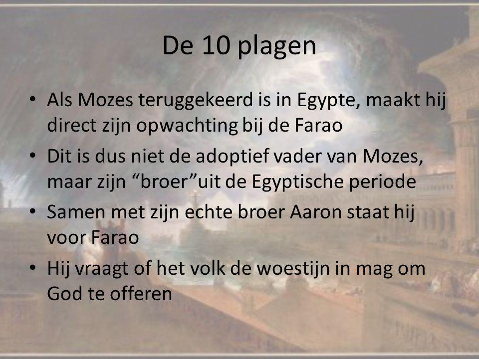 De 10 plagen Als Mozes teruggekeerd is in Egypte, maakt hij direct zijn opwachting bij de Farao.