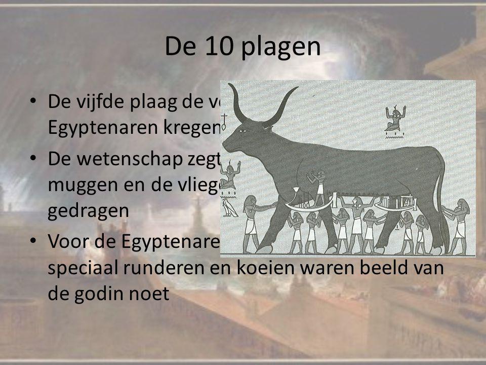 De 10 plagen De vijfde plaag de veepest, alle vee van de Egyptenaren kregen veepest.