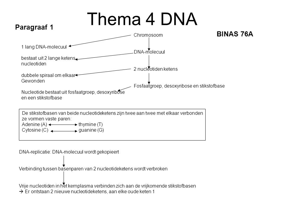 Thema 4 DNA Paragraaf 1 BINAS 76A Chromosoom DNA-molecuul