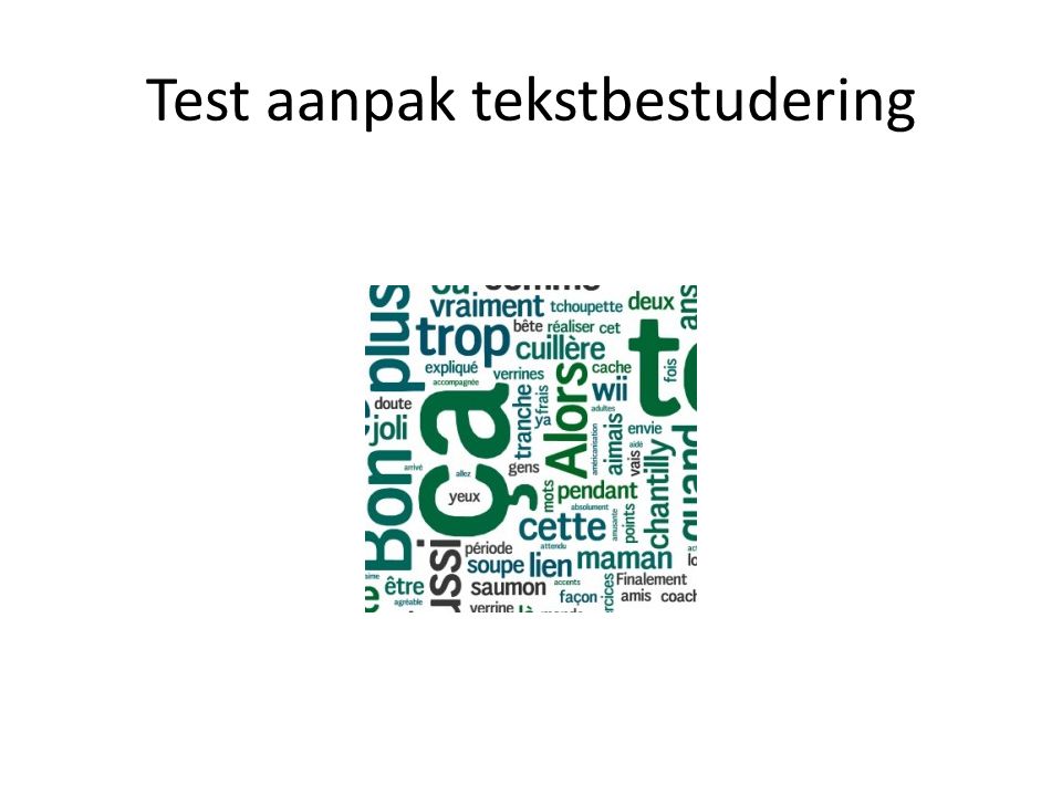 Test aanpak tekstbestudering