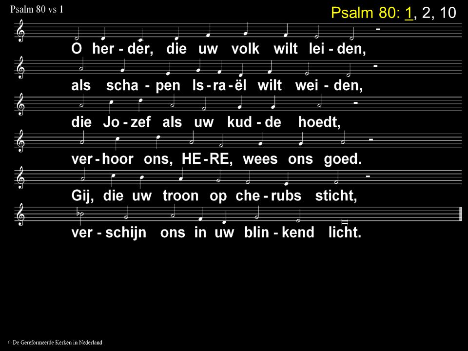 Psalm 80: 1, 2, 10