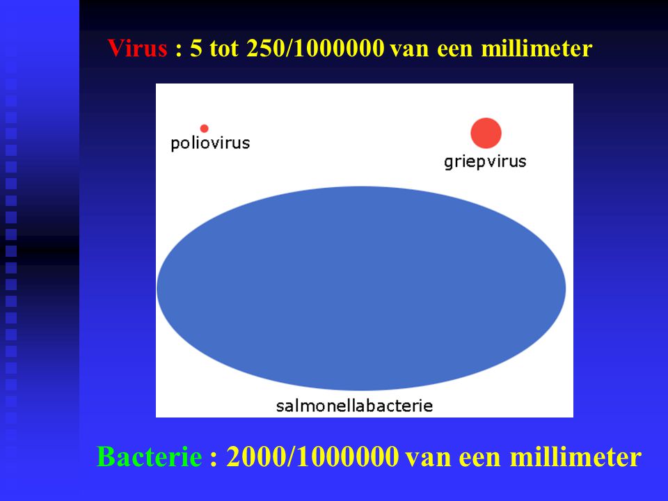 Bacterie : 2000/ van een millimeter