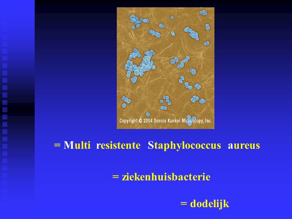 = Multi resistente Staphylococcus aureus