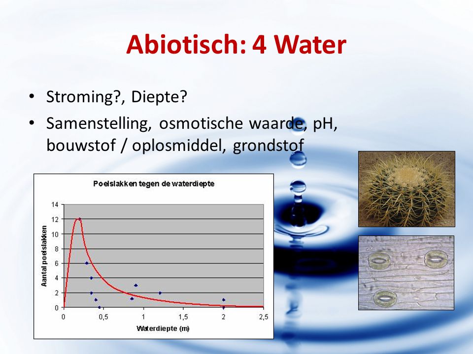 Abiotisch: 4 Water Stroming , Diepte