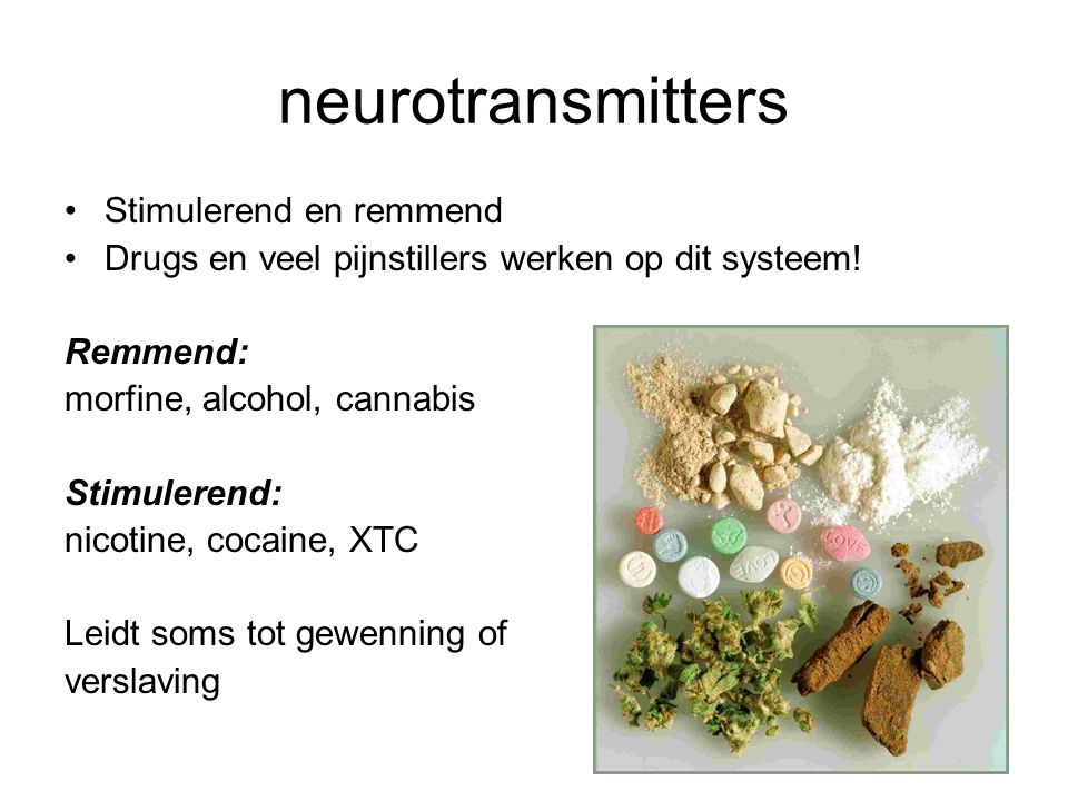 neurotransmitters Stimulerend en remmend