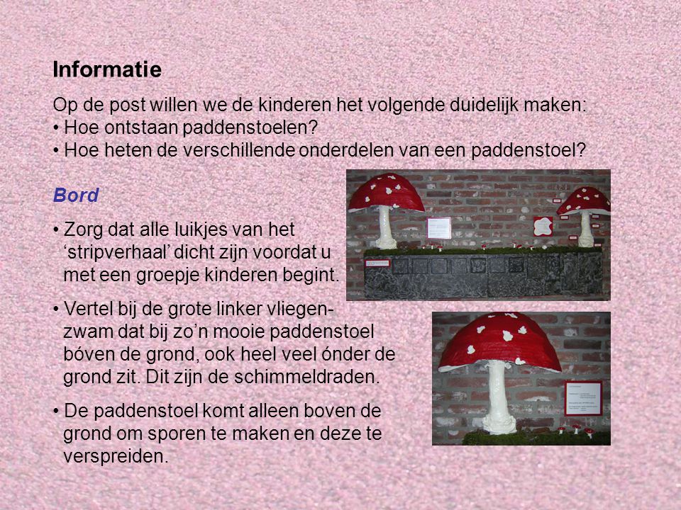 Informatie Op de post willen we de kinderen het volgende duidelijk maken: Hoe ontstaan paddenstoelen