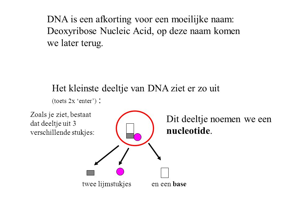 DNA is een afkorting voor een moeilijke naam: