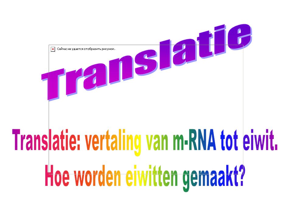 Translatie: vertaling van m-RNA tot eiwit.