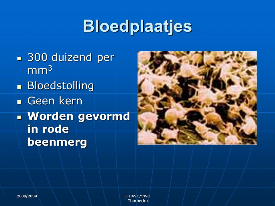 Bloedplaatjes 300 duizend per mm3 Bloedstolling Geen kern