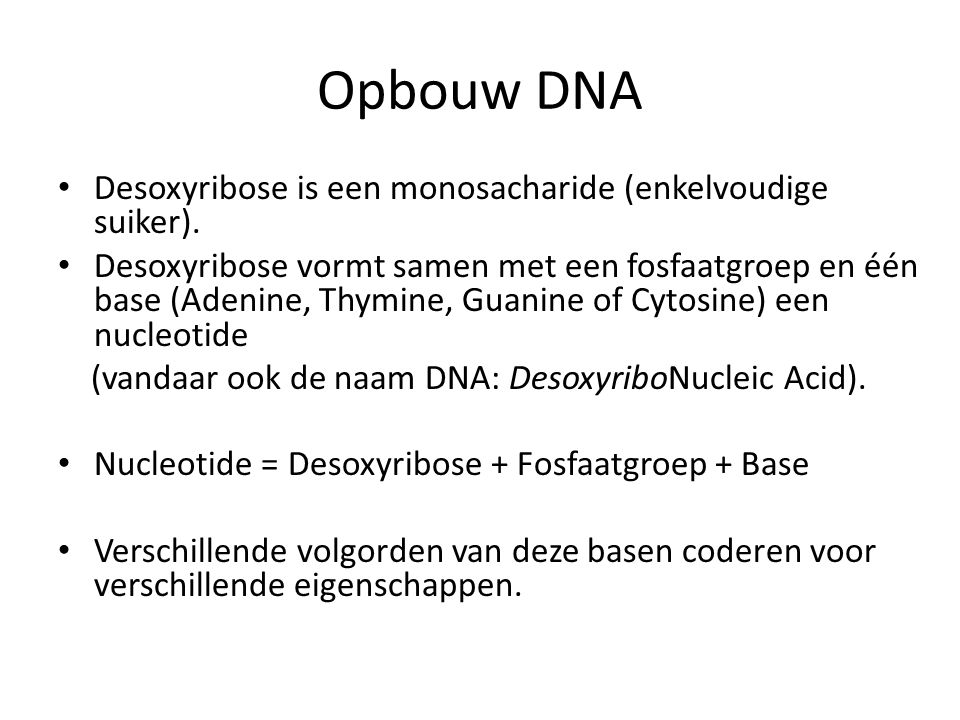 Opbouw DNA Desoxyribose is een monosacharide (enkelvoudige suiker).