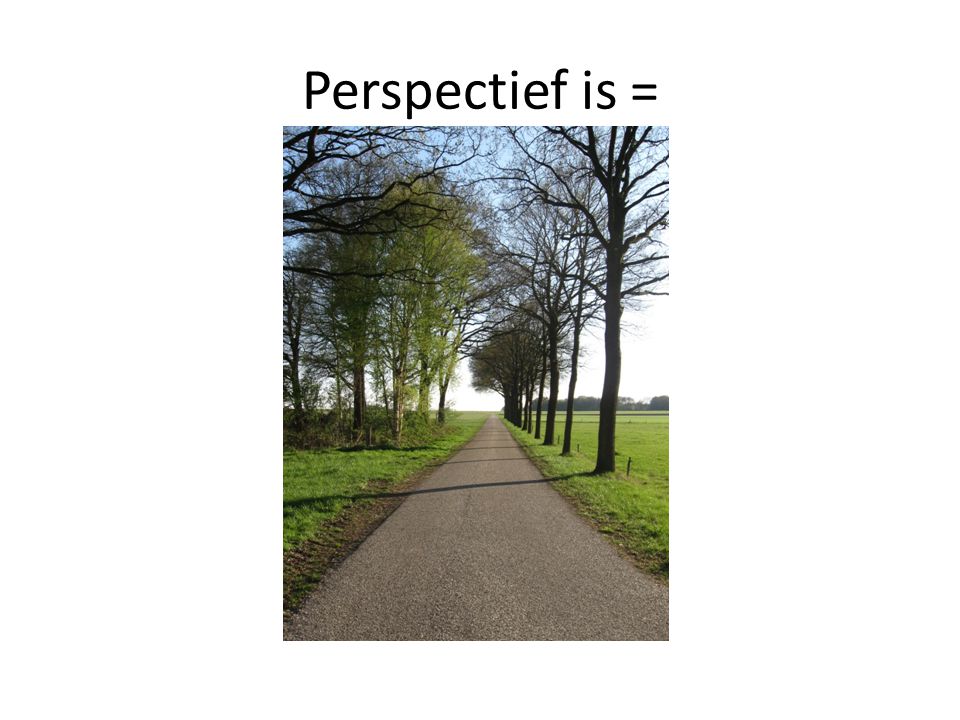 Perspectief is =