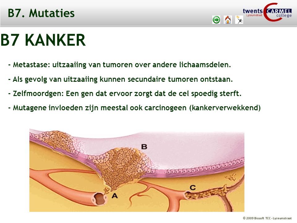 B7. Mutaties B7 KANKER. - Metastase: uitzaaiing van tumoren over andere lichaamsdelen.