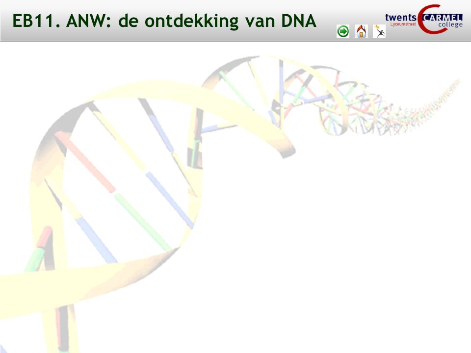 EB11. ANW: de ontdekking van DNA