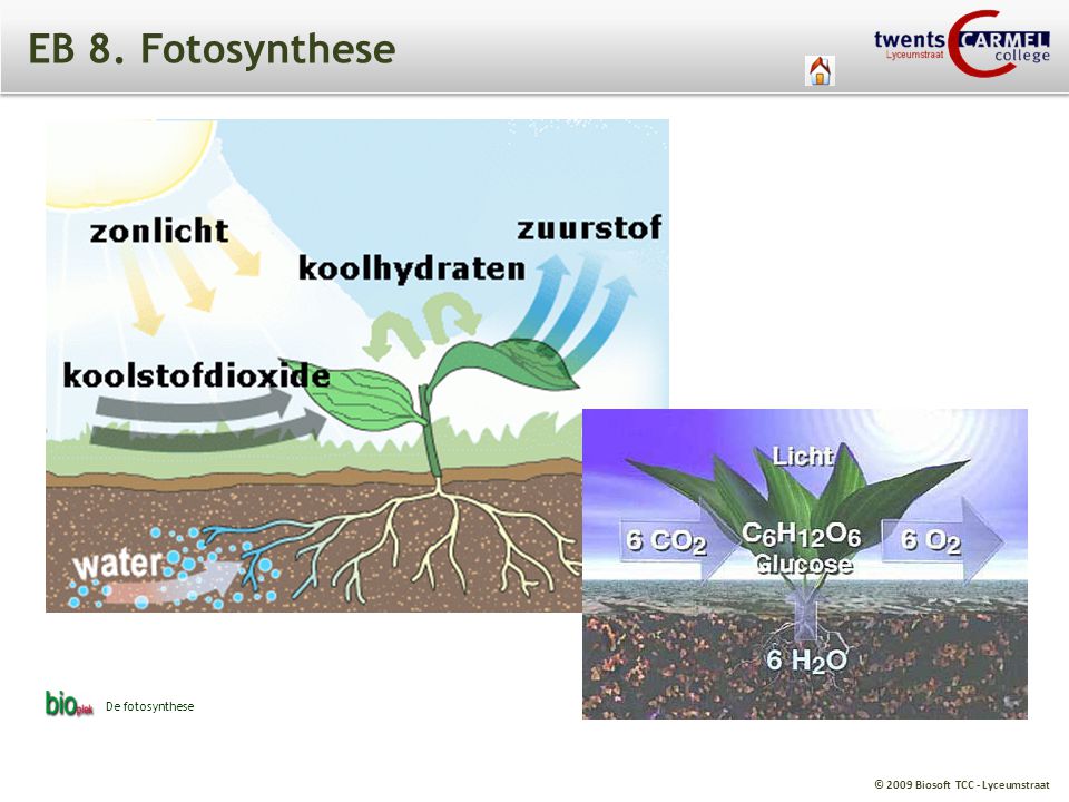 EB 8. Fotosynthese De fotosynthese