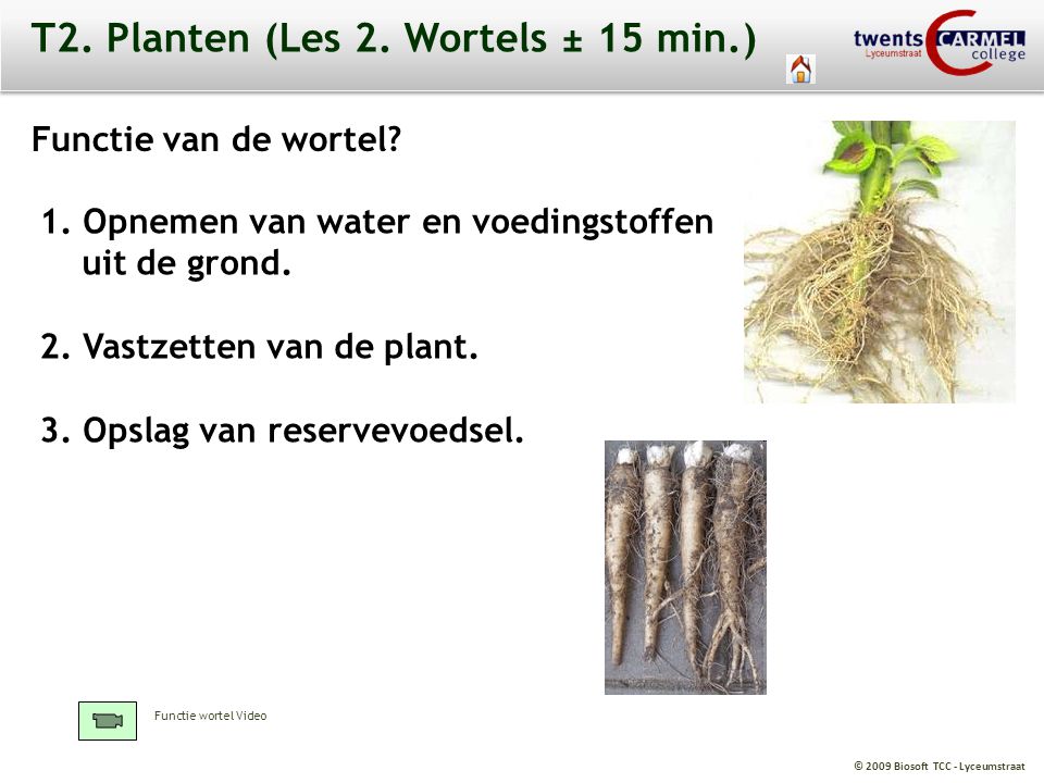 T2. Planten (Les 2. Wortels ± 15 min.)