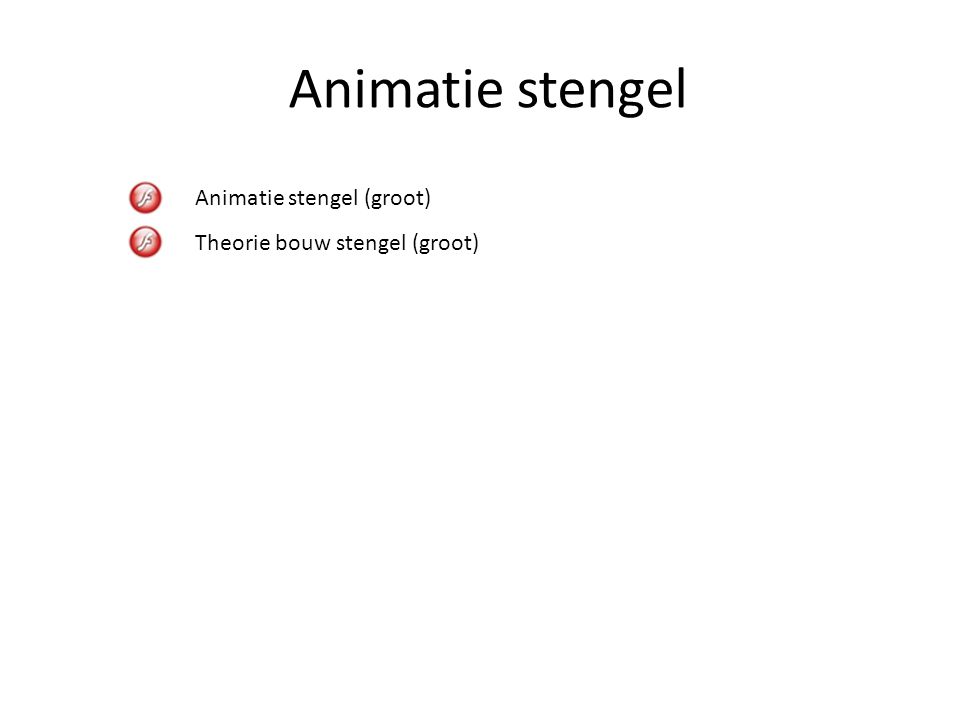 Animatie stengel Animatie stengel (groot) Theorie bouw stengel (groot)