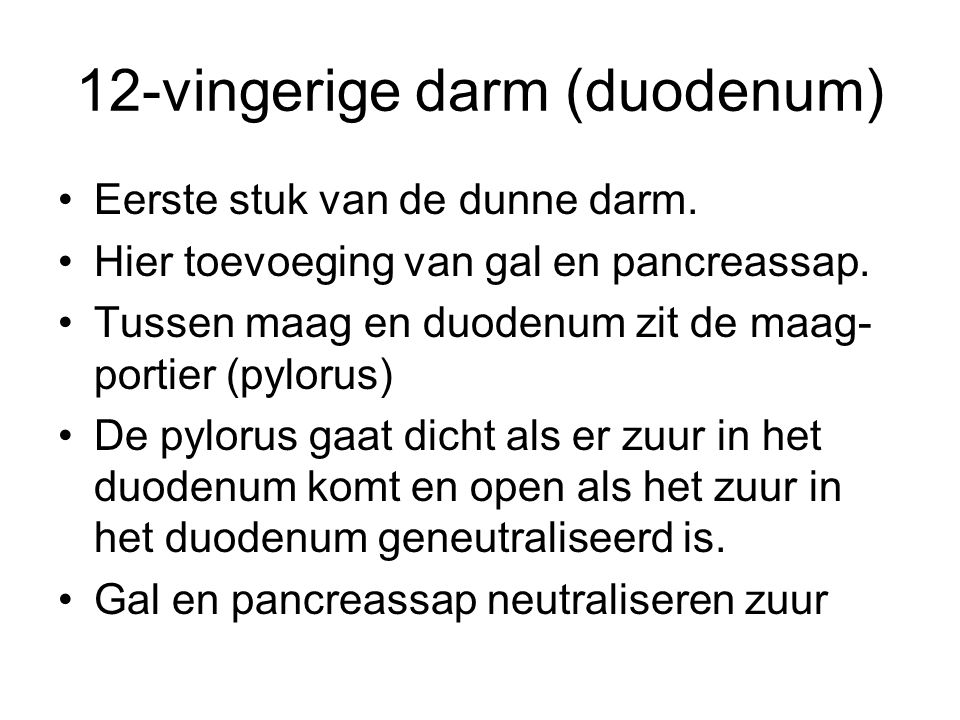 12-vingerige darm (duodenum)
