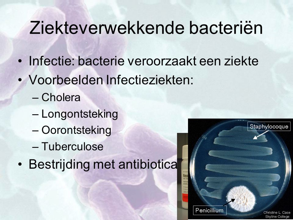 Ziekteverwekkende bacteriën