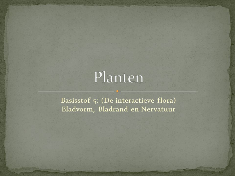 Basisstof 5: (De interactieve flora) Bladvorm, Bladrand en Nervatuur
