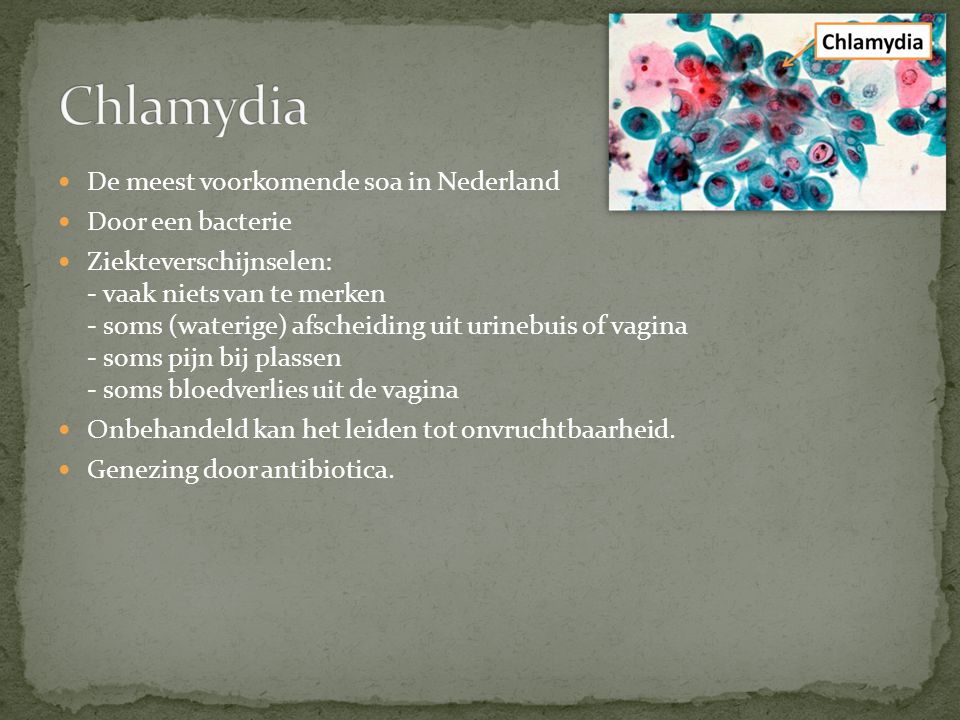 Chlamydia De meest voorkomende soa in Nederland Door een bacterie