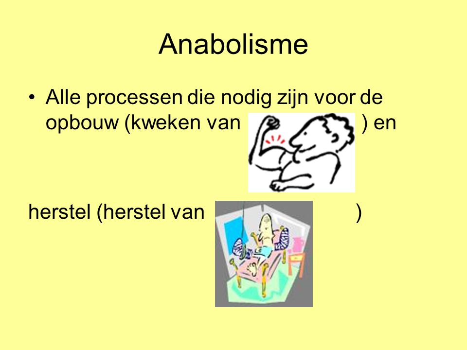 Anabolisme Alle processen die nodig zijn voor de opbouw (kweken van ) en.