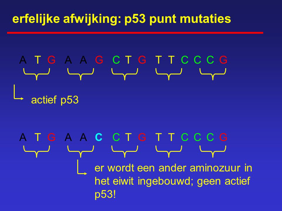 erfelijke afwijking: p53 punt mutaties