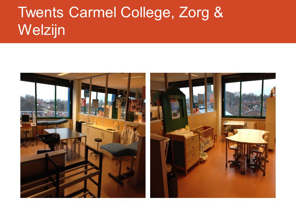 Twents Carmel College, Zorg & Welzijn