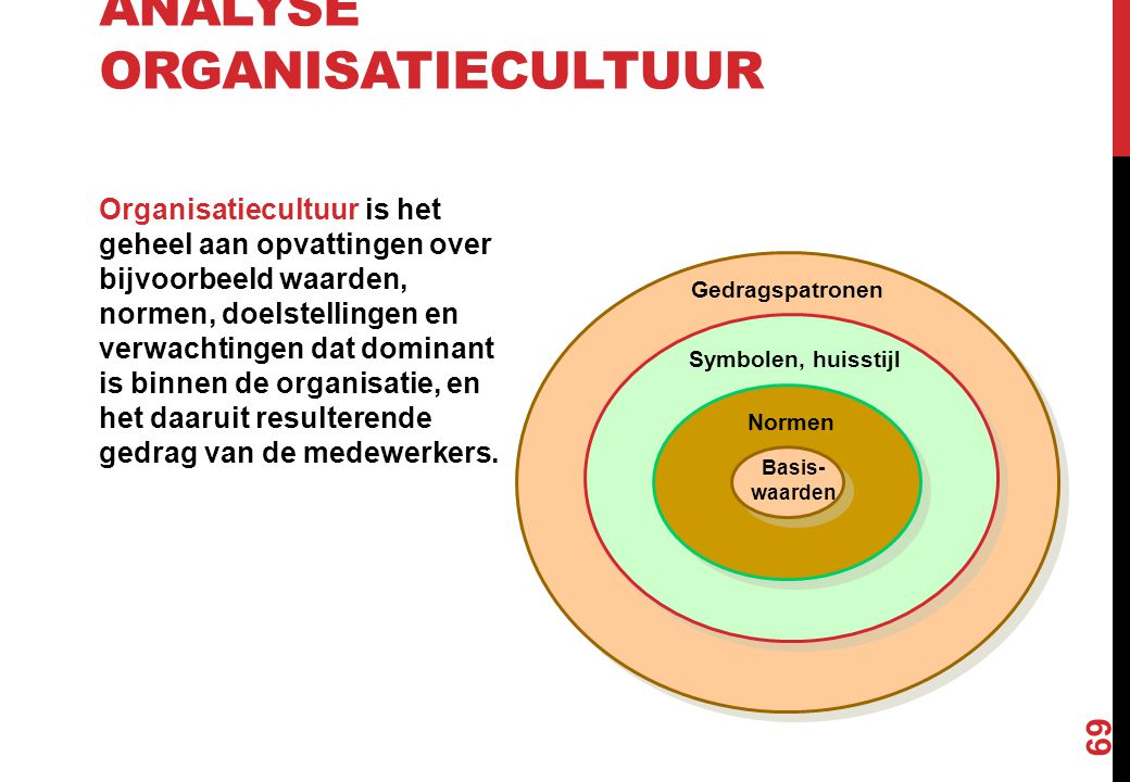 Analyse organisatiecultuur